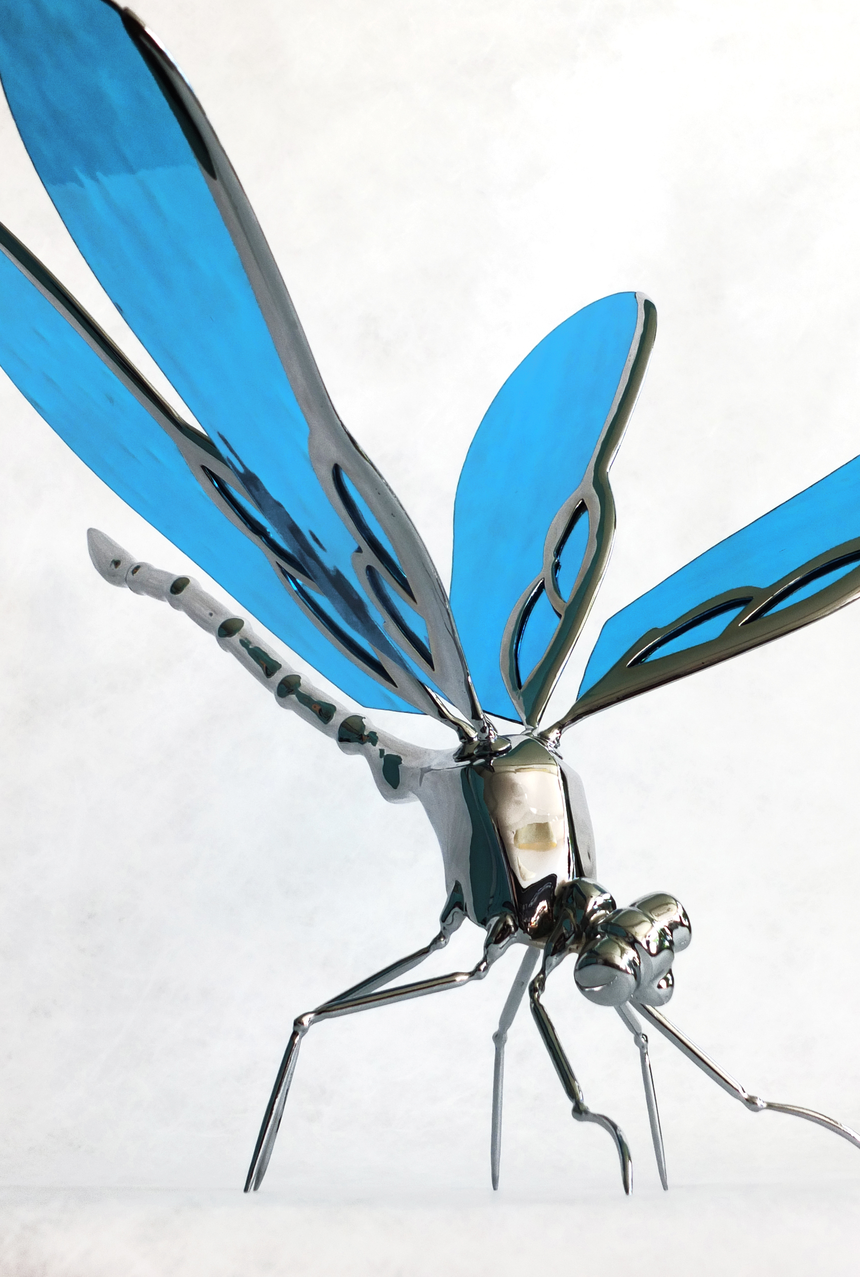 libellule Xavier Embise